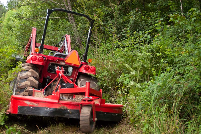 Pourquoi débroussailler un terrain ? Beaufort-en-Anjou